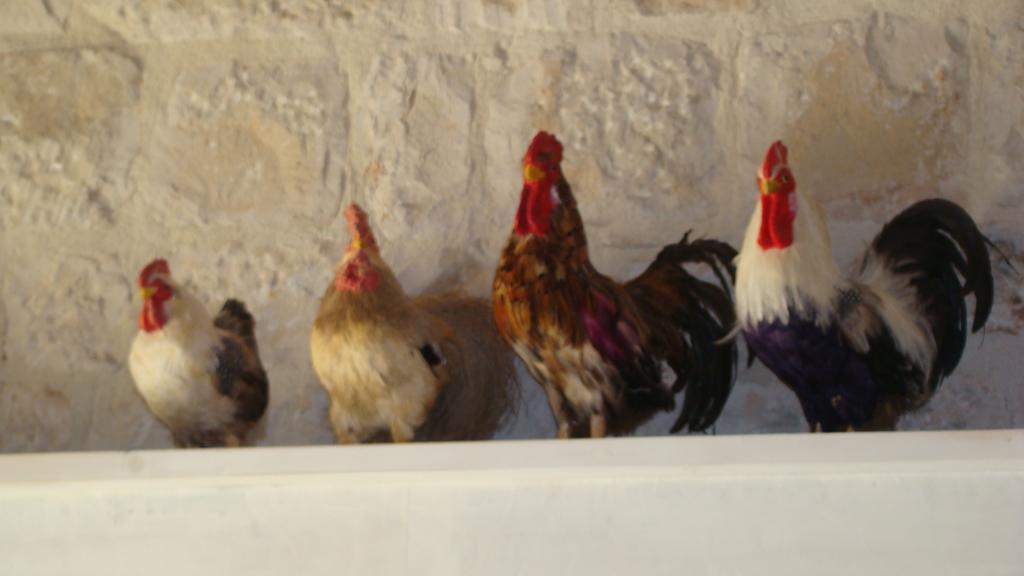 Masseria Ciancio Casa Serrafiori Екстер'єр фото