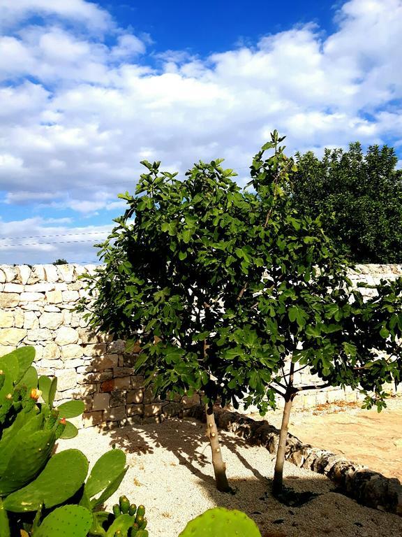 Masseria Ciancio Casa Serrafiori Екстер'єр фото